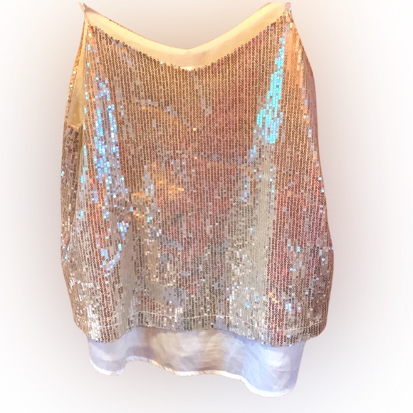 Sequin top great for New Years Eve - Picture 1 of 3